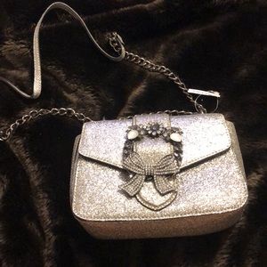 Glittery purse